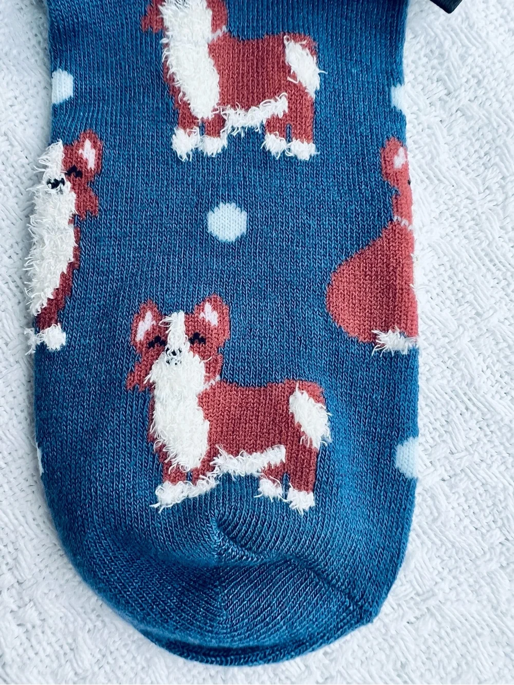 FREE PRESS LEGWEAR BLUE CREW SOCKS with CORGI DOGS
